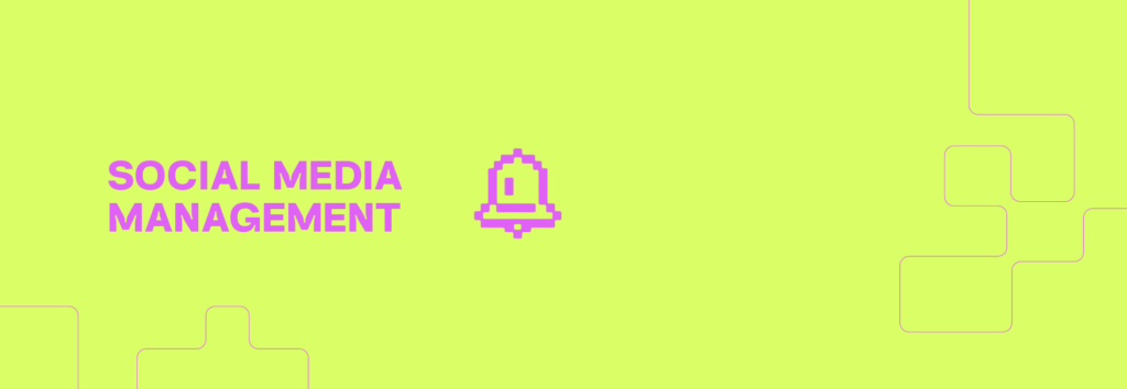 Social media management in Georgia სოციალური მედიის მართვა